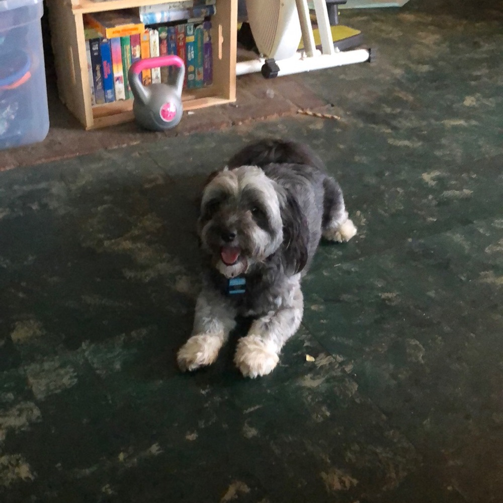 Meet your Posher, Lourdes